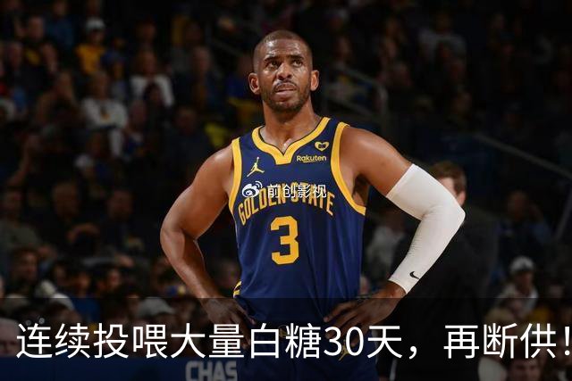 连续投喂大量白糖30天，再断供！国外网红扮“蚂蚁天神”整蛊野生蚁群