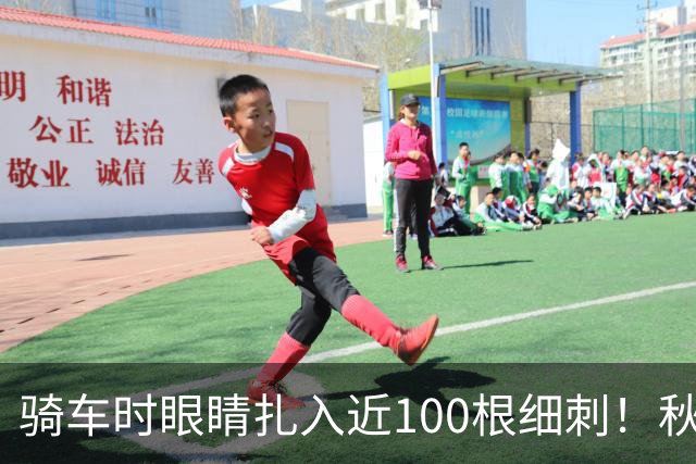 骑车时眼睛扎入近100根细刺！秋季多见，北京、上海、杭州接连有人中招，专家提醒→